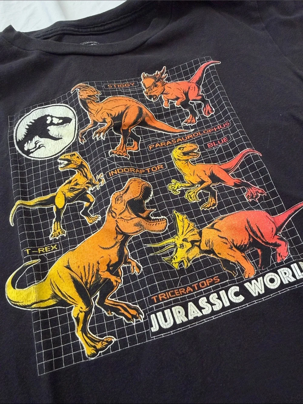 Kids Jurassic World Graphic Tee - Black size M